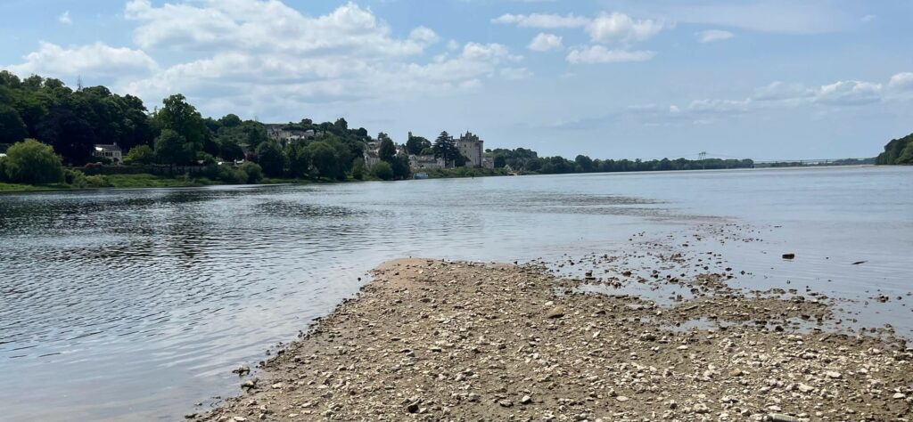 Confluence de la Vienne et de la Loire
